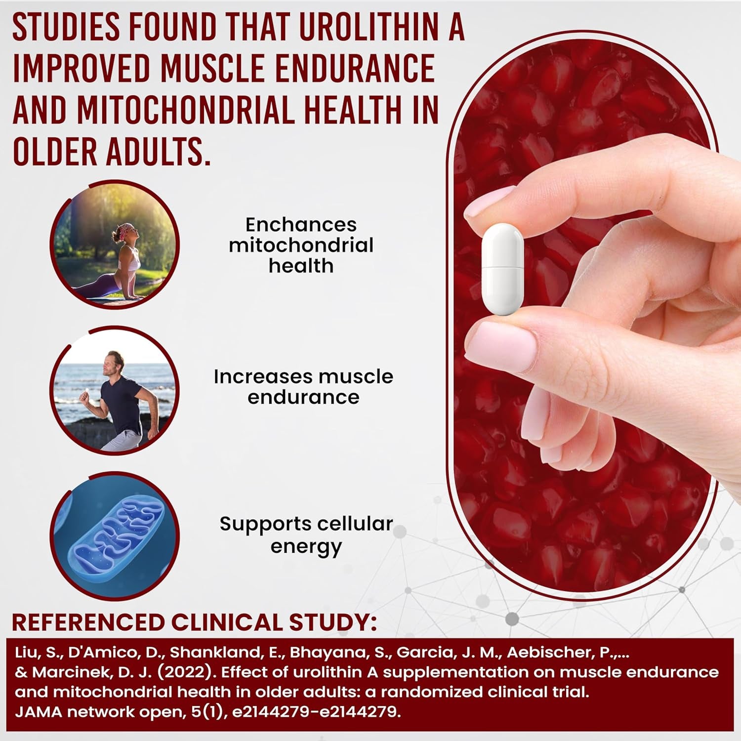 Anti-Aging Urolithin a Supplement - Pure & Powerful Antioxidant Protection Mitochondrial Supplements - Natural Energy Boost - Mitochondrial Health & Cell Repair Support for Men & Women - 60 Caps