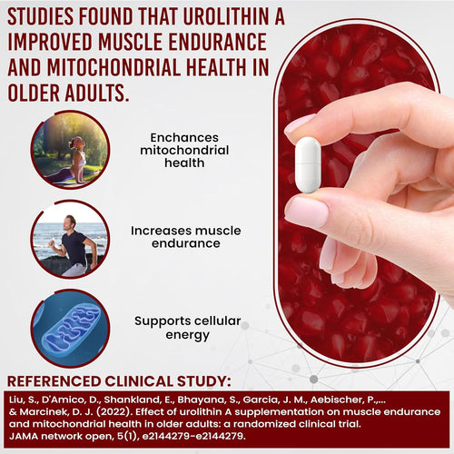 Anti-Aging Urolithin a Supplement - Pure & Powerful Antioxidant Protection Mitochondrial Supplements - Natural Energy Boost - Mitochondrial Health & Cell Repair Support for Men & Women - 60 Caps