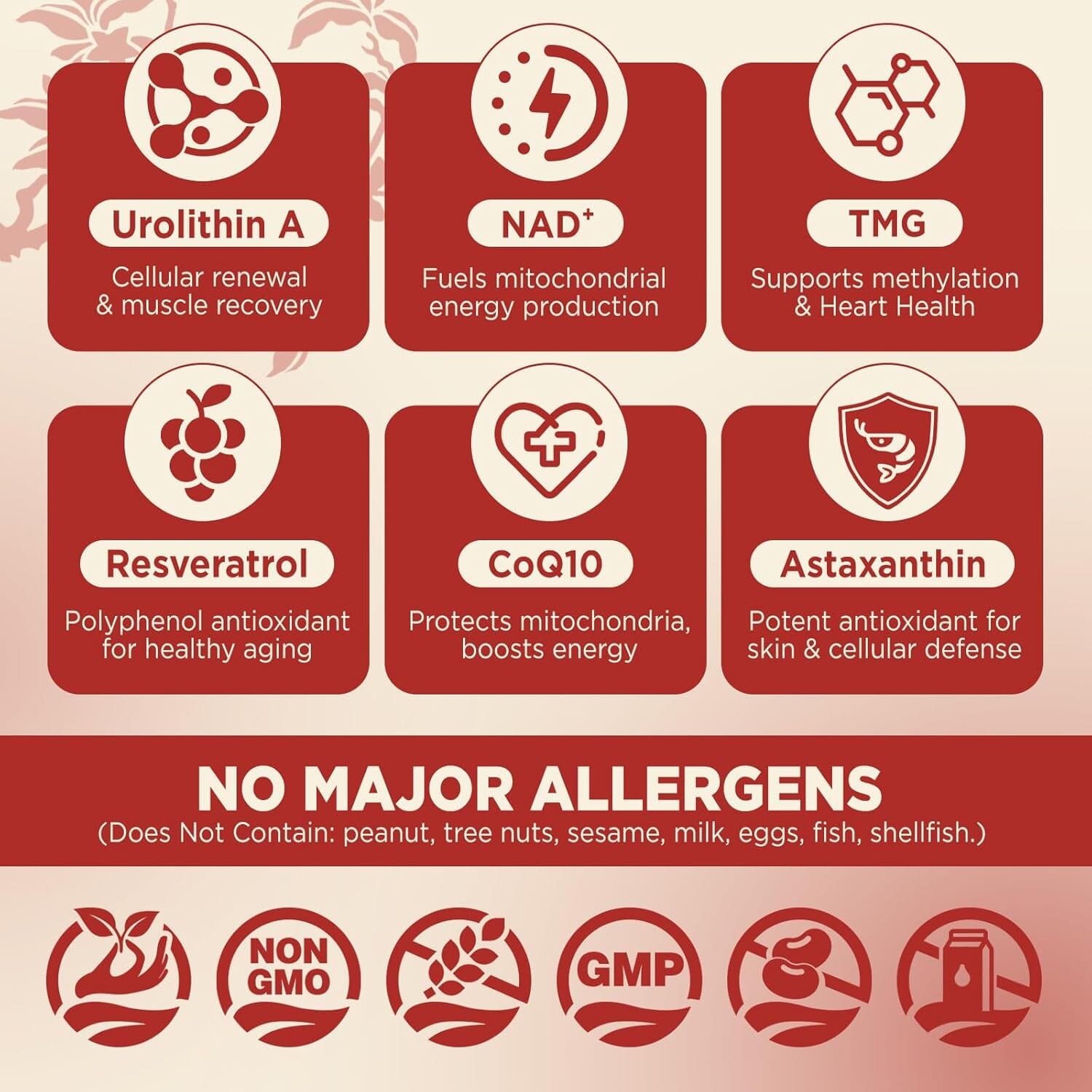 Urolithin a Supplement Gummies, Liposomal Urolithin A+ Supplement for Mitochondrial Support, with NAD+, TMG for Healthy Aging, Cellular Renewal, Muscle Strength & Longevity, Vegan, 60 CT